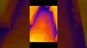Тёплый пол (плёночный) Под ковёр. Замер тепловизором InfiRay
