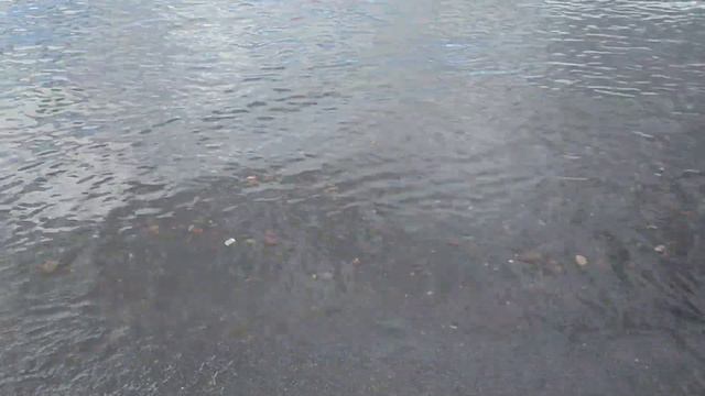 Поездка в Горный Алтай. смотреть онлайн