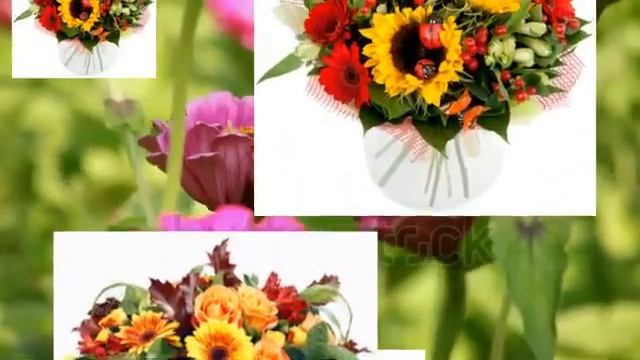 Лучик счастья, добра и радости дарю вам. смотреть онлайн