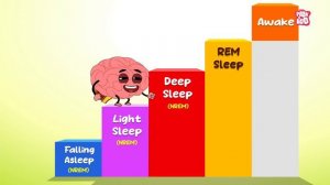 SLEEPWALKING | Why Do We Sleepwalk? | The Dr Binocs Show | Peekaboo Kidz