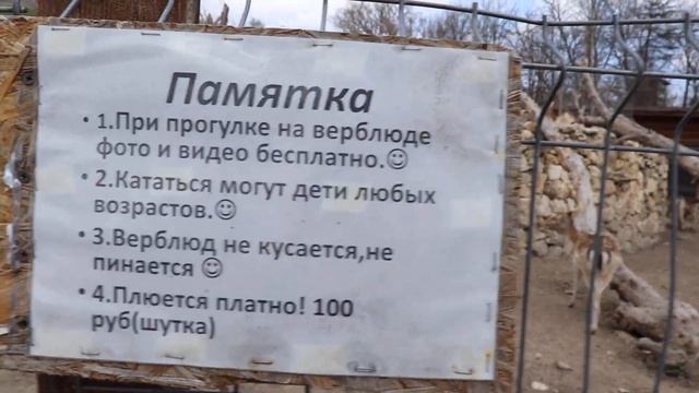 Природа и животные в гармонии