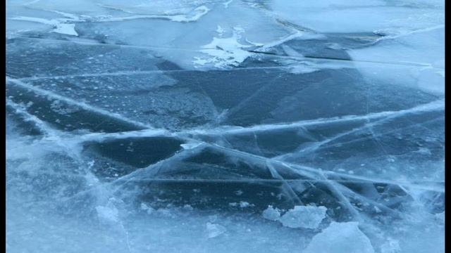 Птицы смотреть онлайн