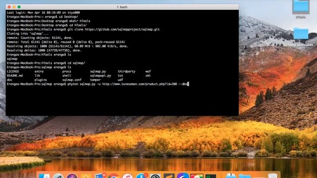 How to hack a website database - Sinhala смотреть онлайн