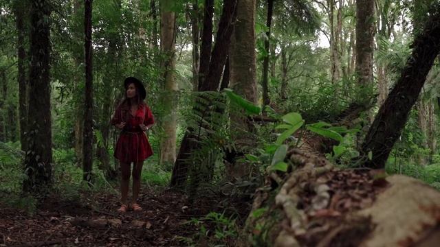 Tropical Rainforest nature sounds for sleep - 1 hour / Звуки тропического леса для сна - 60 мин смотреть онлайн