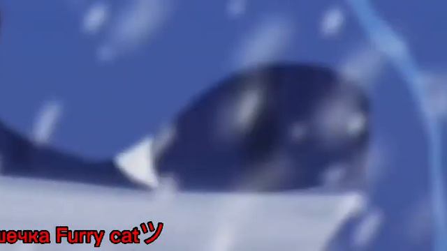 Синяя Звезда и Желудь ❄Снег в Океане🌊 (извеняюсь за отсутствие) смотреть онлайн