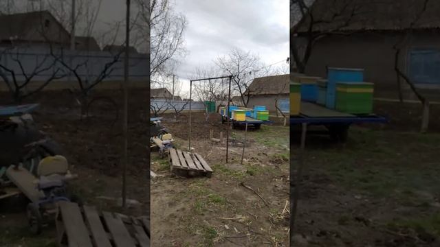 Весенняя обработка деревьев медным купоросом смотреть онлайн