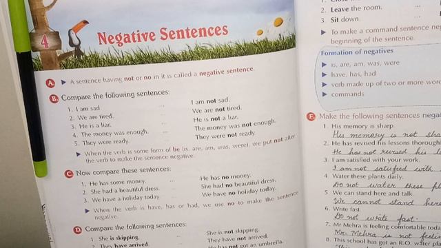 CLASS 4 NEGATIVE SENTENCES смотреть онлайн
