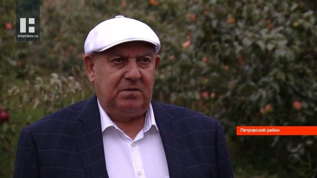 В садовом хозяйстве "Дубовое" в Тамбовской области яблоки хранят по особой технологии смотреть онлайн