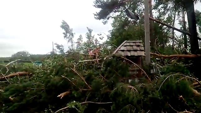 Котастрофа в загородном комплексе "Комарово" смотреть онлайн