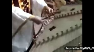 Божественная мелодия цимбалы