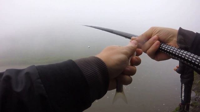 Что за ПОДВЕСНОЙ ПОПЛАВОК ? Елец , пескарь - рыбалка на реке смотреть онлайн