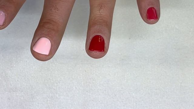 Bio Sculpture EVO2 [LIVE SWATCH] PART 1