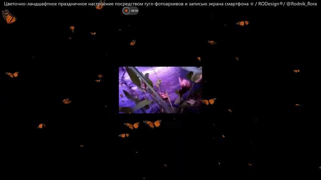 Цветочно-ландшафтное настроение праздника. Гугл-фотоархивы/запись экрана смартфона. ROD/Rodnik_flor смотреть онлайн
