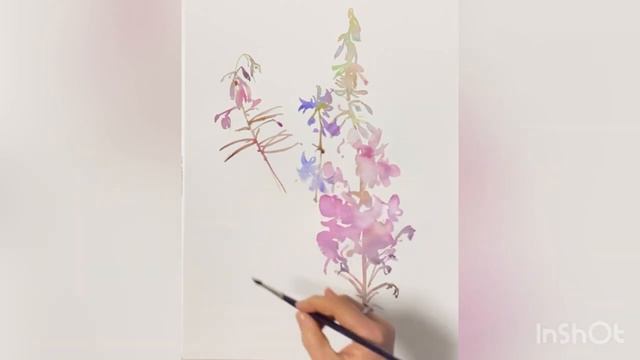 Полевые цвета. Марина Ласаева #акварель #watercolor