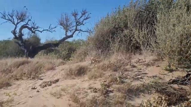 Золотая лихорадка на Азовском море. База отдыха - #голубицкая #пересыпь смотреть онлайн