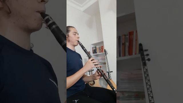 YİĞİDİM ASLANIM (KLARNET COVER) смотреть онлайн