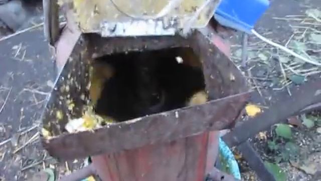 Корморізка своїми руками / Корморезка своими руками смотреть онлайн