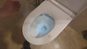 Импульсный (сифонный) смыв в умном унитазе-биде BRUNNEN WAL BW-2402