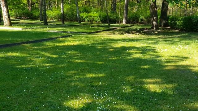 Luckenwalde, StalagIIIа (Луккенвальде Шталаг IIIа) 12.5.2023 смотреть онлайн