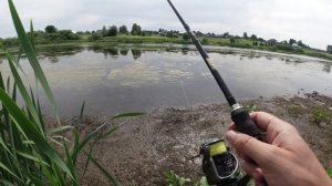 Неогруженный силикон или Лягушка? Что лучше при ловле щуки на спиннинг в траве? [Пора ловить щуку]