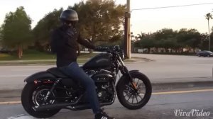 Harley Davidson Iron 883  exhaust sound Compilation