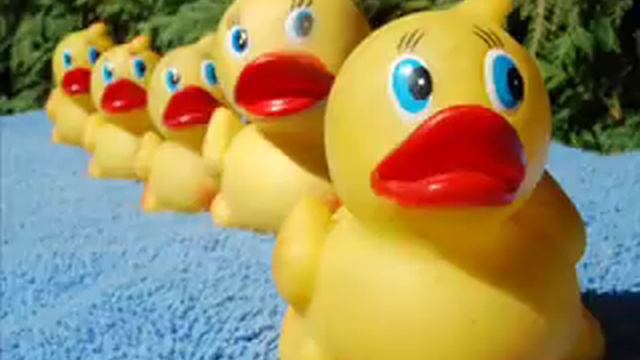 la danse des canards remix 2008!!! (français, espagnol, allemand, italien!) смотреть онлайн