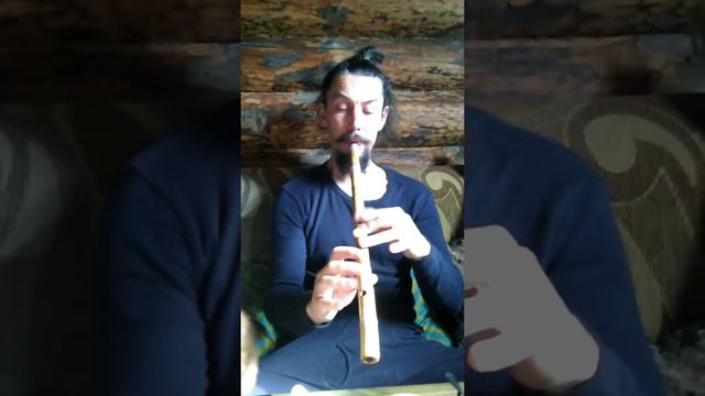 СЯОТИ СРЕДНЯЯ 55 смотреть онлайн