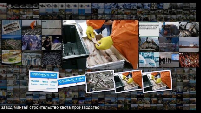 В Приморье завершили строительство рыбоперерабатывающего завода смотреть онлайн