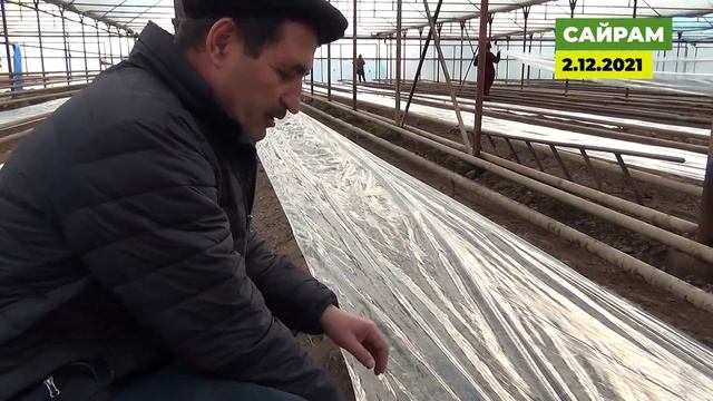 Укладываем мульчу. Подготовка к зимне-весеннему обороту огурцов 2021-2022. смотреть онлайн
