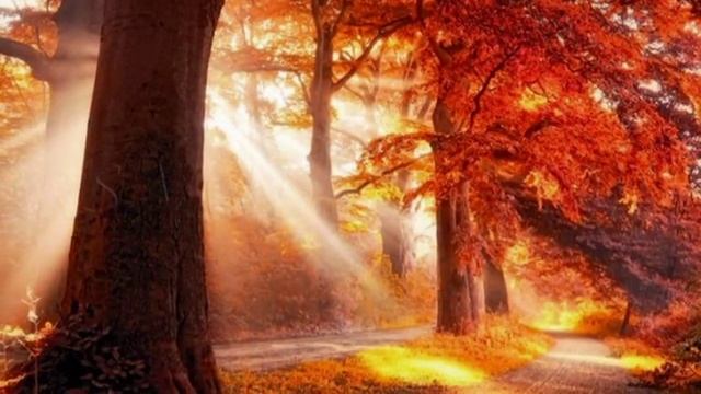 Осенний джаз смотреть онлайн