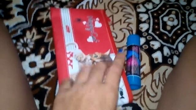 Собираем пенал в школу вместе. смотреть онлайн