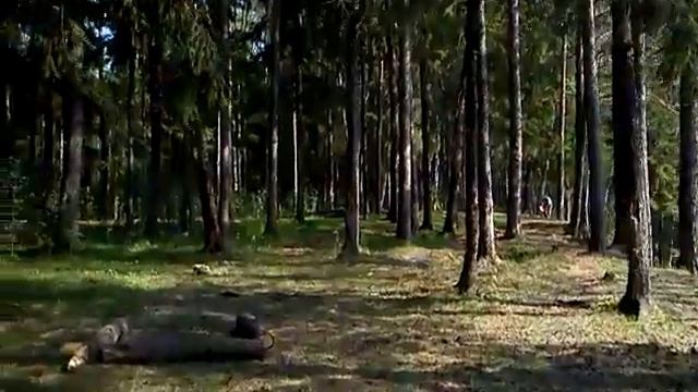 Окрестности реки Кунья в Подмосковье смотреть онлайн