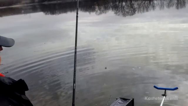 пиранья vs окунь (piranha,perch) смотреть онлайн