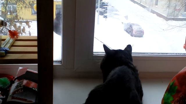 Тихон дерется смотреть онлайн
