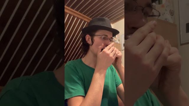 What a Wonderful World Louis Armstrong #music #harmonica смотреть онлайн