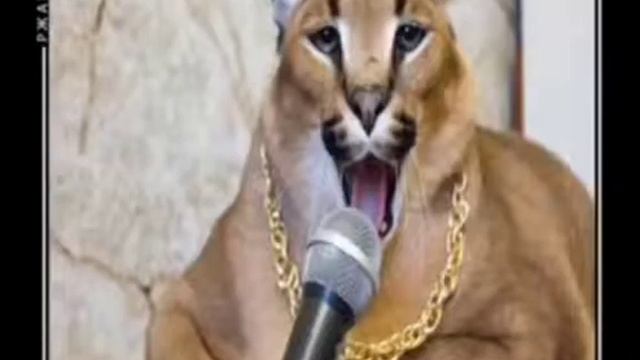 ШЛЁПА ВЫБИЛ ЛЕОНА ИЗ БРОУЛ СТАРС! смотреть онлайн