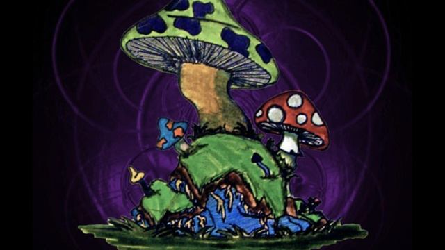 Top 5 potent psychedelics смотреть онлайн