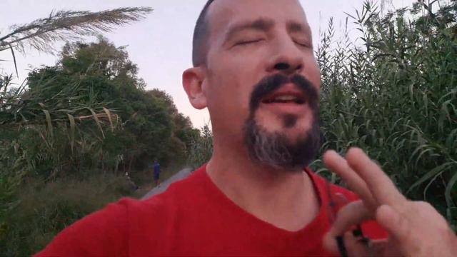 Sobre El Bajo Ibanez SDGR 2000