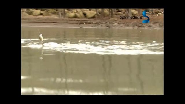 Ловля голавля ранней весной. Часть 2 смотреть онлайн