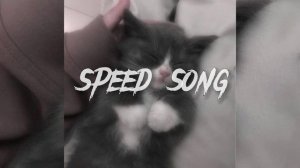 Он гениален speed up song