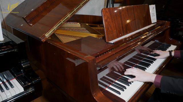 Petrof Model V Mahogany Grand Piano - Demonstrated by Sherwood Phoenix смотреть онлайн