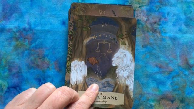 The Herbal Astrology Oracle смотреть онлайн