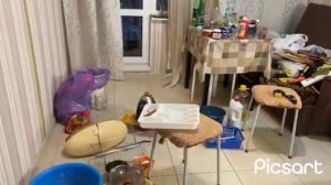 клининг , уборка квартир