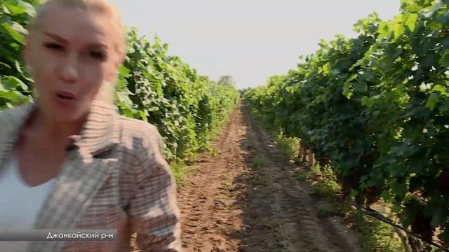 СОЛНЕЧНАЯ ЯГОДА смотреть онлайн