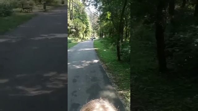 Влог,прогулка по Пышкам(лес,Гродненская область) смотреть онлайн