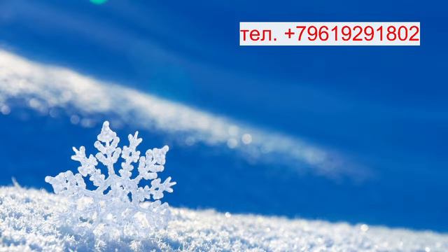 Обращение к Дмитрию Куприну от ЧЕРЕПАХИ смотреть онлайн