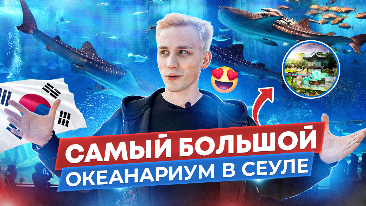 Это самый большой океанариум в Сеуле ! смотреть онлайн