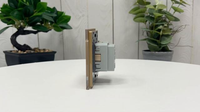 Розетка электрическая LIVOLO золотая, VL-C7C1EU-13 смотреть онлайн