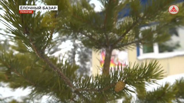 Открылся ёлочный базар смотреть онлайн