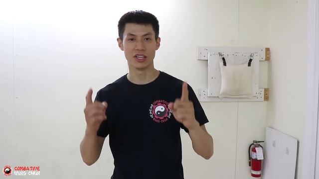 6 Wing Chun Wooden Dummy Training Kicking Techniques
